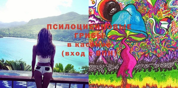 соль ск Осинники