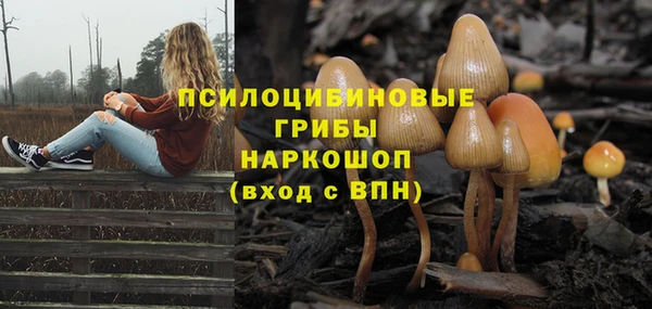 прущая мука Остров